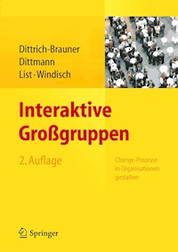 Interaktive Großgruppen - Karin Dittrich-Brauner - E-Book