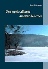 Une torche allumée au coeur des crocs - Pascal Verbaere - E-Book