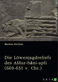 Die Löwenjagdreliefs des Aššur-bāni-apli (669-631 v. Chr.). Nordpalast in Ninive - Markus Stricker - E-Book