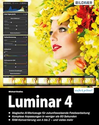 Luminar 4 - Michael Gradias - E-Book