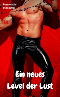 Ein neues Level der Lust - Bernadette Binkowski - E-Book