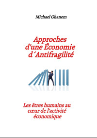 Approches d'une Économie d´ antifragilité - Michael Ghanem - E-Book