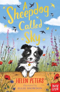 A Sheepdog Called Sky - Helen Peters - E-Book