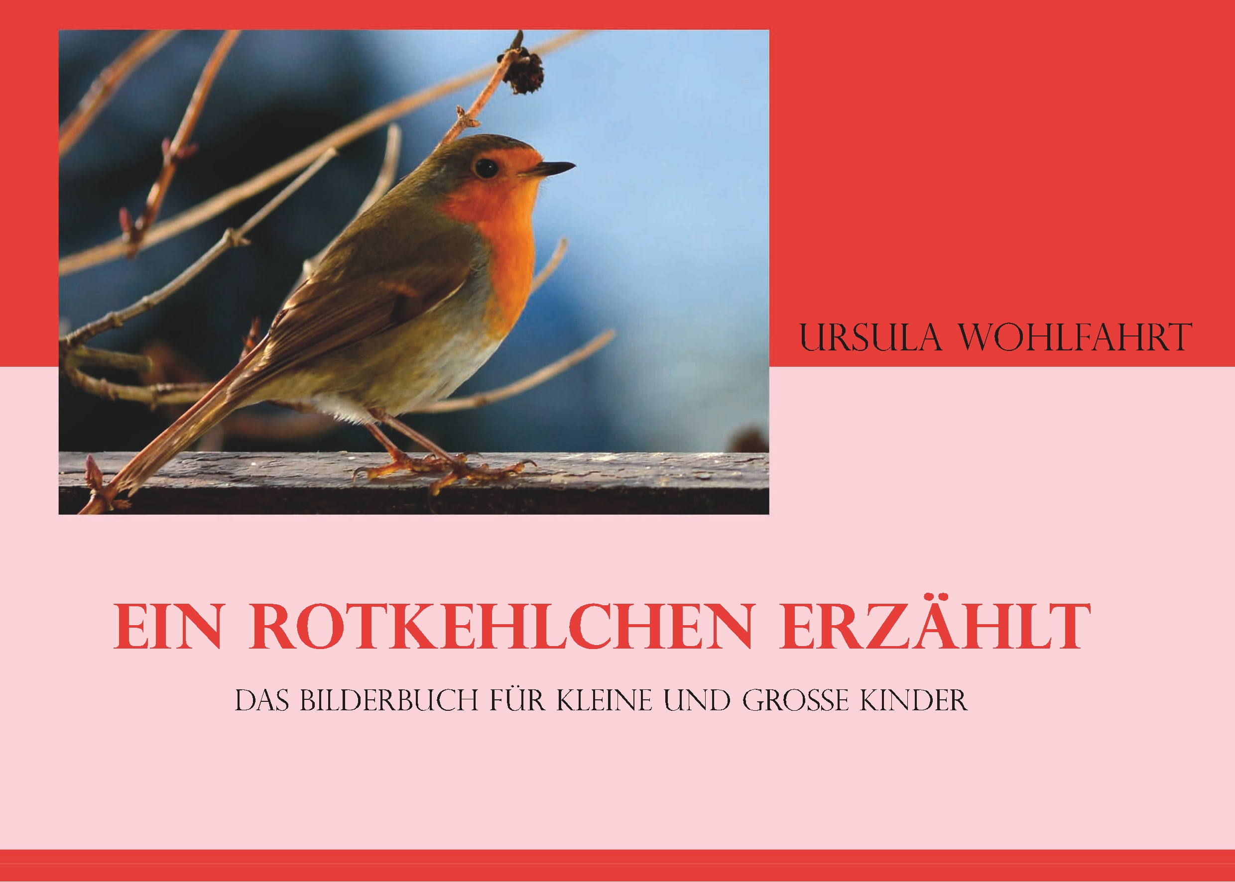 Ein Rotkehlchen erzählt - Urusla Wohlfahrt - E-Book