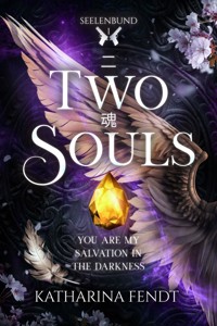 Two Souls: You are my salvation in the darkness ( Seelenbund-Trilogie Band 1 ) - Katharina Fendt - E-Book