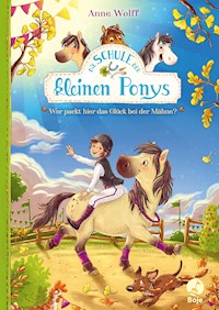 Die Schule der kleinen Ponys - Anne Wolff - E-Book