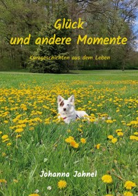 Glück und andere Momente - Johanna Jahnel - E-Book