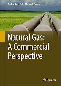 Natural Gas: A Commercial Perspective - Andrej Pustišek - E-Book