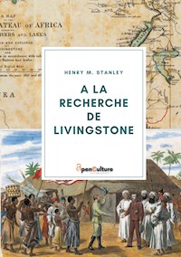 A la recherche de Livingstone - Henry M. Stanley - E-Book