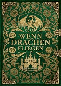 Wenn Drachen fliegen - Marion Hübinger - E-Book