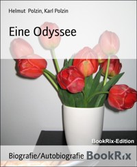 Eine Odyssee - Helmut Polzin - kostenlos E-Book