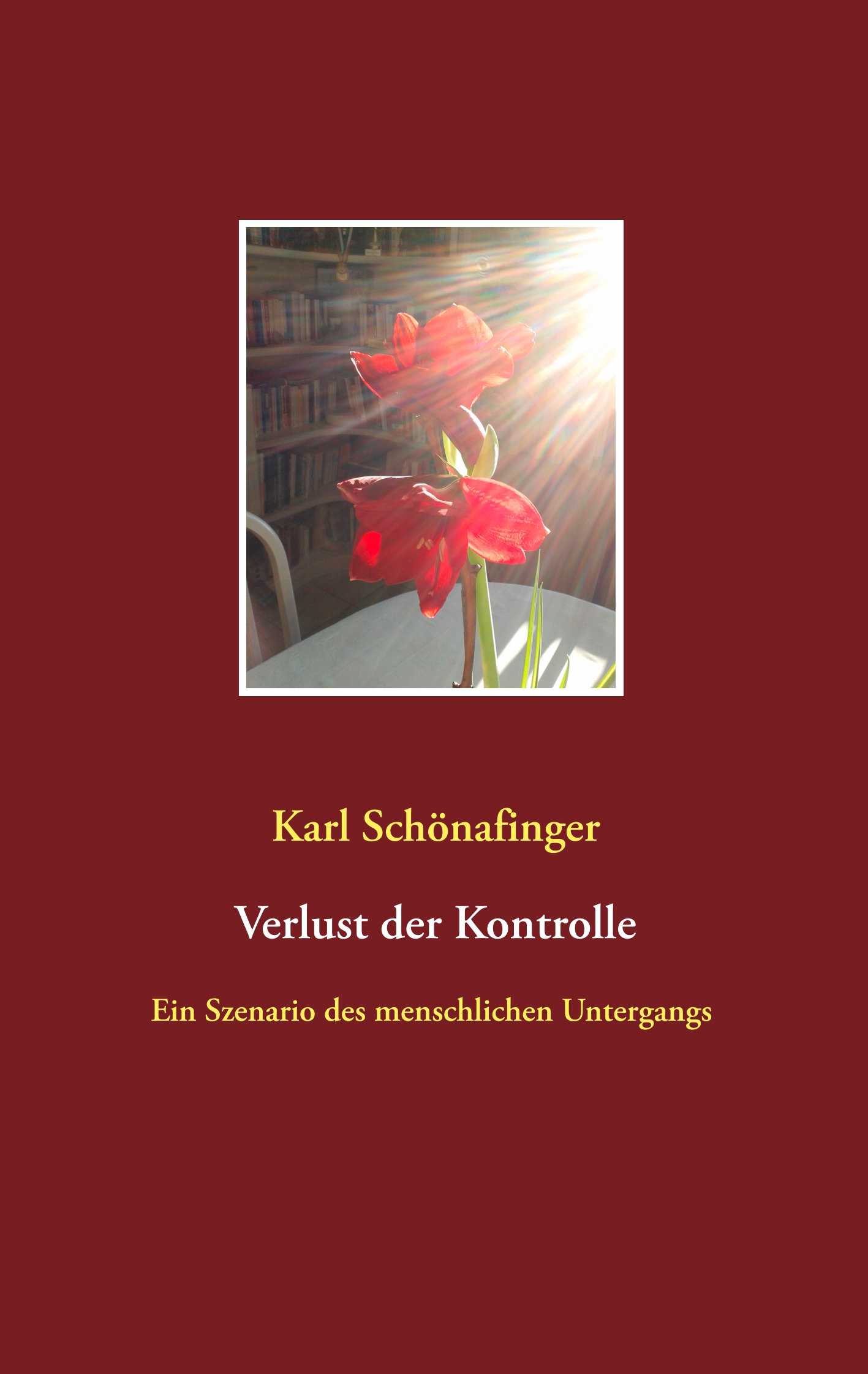 Verlust der Kontrolle - Karl Schönafinger - E-Book