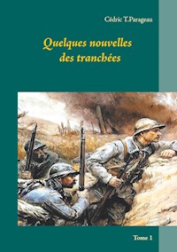 Quelques nouvelles des tranchées - Cédric T.Parageau - E-Book
