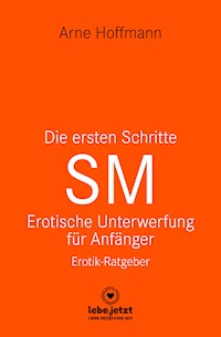 Die ersten Schritte SM - Unterwerfung für Anfänger | Erotischer Ratgeber - Arne Hoffmann - E-Book