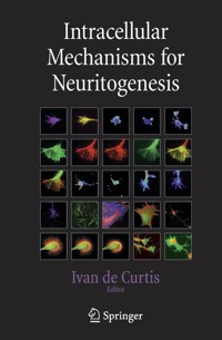 Intracellular Mechanisms for Neuritogenesis - - E-Book