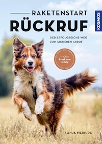 Raketenstart-Rückruf - Sonja Meiburg - E-Book