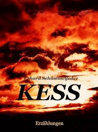 K E S S - Erhard Schümmelfeder - E-Book