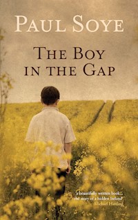 The Boy in the Gap - Paul Soye - E-Book
