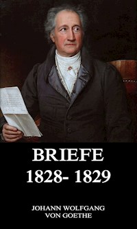 Briefe 1828 - 1829 - Johann Wolfgang von Goethe - E-Book