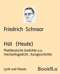 Hüt   (Heute) - Friedrich Schnoor - E-Book