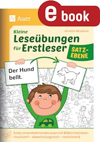 Kleine Leseübungen für Erstleser - Satzebene - Annette Neubauer - E-Book