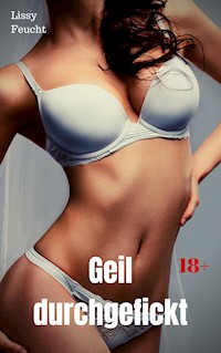 Geil durchgefickt - Lissy Feucht - E-Book
