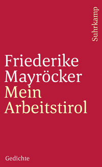 Mein Arbeitstirol - Friederike Mayröcker - E-Book