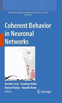 Coherent Behavior in Neuronal Networks -  - E-Book
