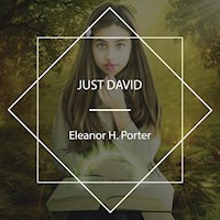 Just David - Eleanor H. Porter - Hörbuch