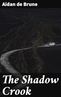 The Shadow Crook - Aidan de Brune - E-Book