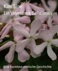 Ein Voyeur mit Geheimnis - Kim Sine - kostenlos E-Book