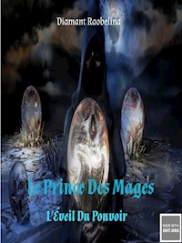 Le Prince Des Mages - Diamant Raobelina - E-Book