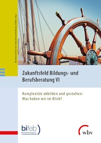Zukunftsfeld Bildungs- und Berufsberatung VI -  - kostenlos E-Book