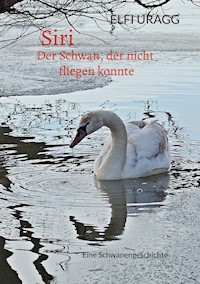 Siri - Elfi Uragg - E-Book