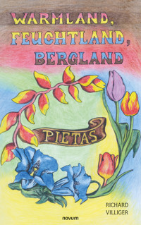 Warmland, Feuchtland, Bergland - Richard Villiger - E-Book