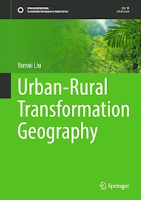Urban-Rural Transformation Geography - Yansui Liu - E-Book