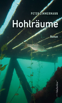 Hohlräume - Peter Zimmermann - E-Book