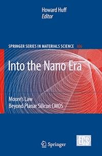 Into The Nano Era -  - E-Book