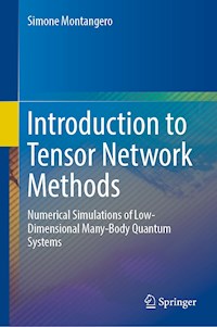 Introduction to Tensor Network Methods - Simone Montangero - E-Book