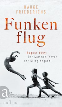 Funkenflug - Hauke Friederichs - E-Book