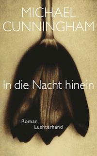 In die Nacht hinein - Michael Cunningham - E-Book