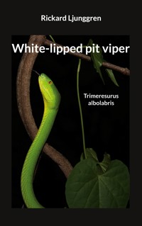 White-lipped pit viper - Rickard Ljunggren - E-Book