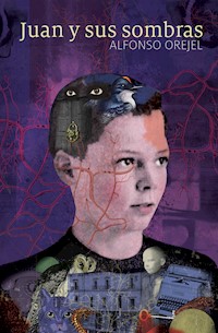 Juan y sus sombras - Alfonso Orejel - E-Book