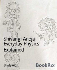 Everyday Physics Explained - Shivangi Aneja - kostenlos E-Book