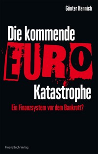 Die kommende Euro-Katastrophe - Hannich Günter - E-Book