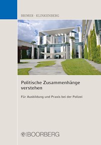 Politische Zusammenhänge verstehen - Jörg Brimer - E-Book