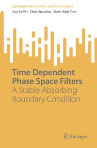 Time Dependent Phase Space Filters - Avy Soffer - E-Book
