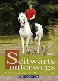 Seitwärts unterwegs - Johannes Beck-Broichsitter - E-Book