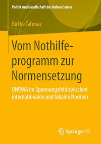 Vom Nothilfeprogramm zur Normensetzung - Birthe Tahmaz - E-Book