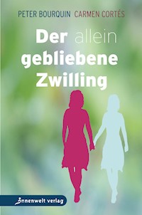 Der allein gebliebene Zwilling - Peter Bourquin - E-Book